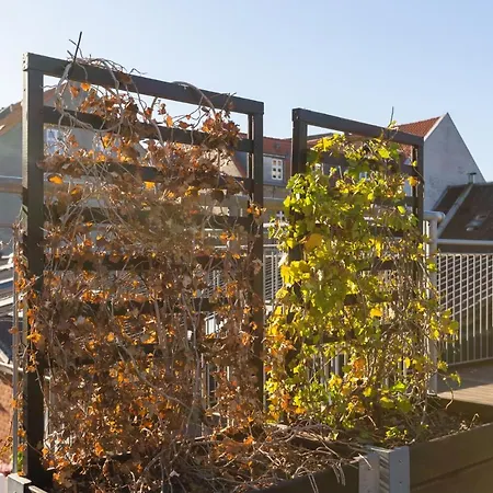 Appartement 200 M Fra Rutebilstation - Privat Terrasse, Grill Århus